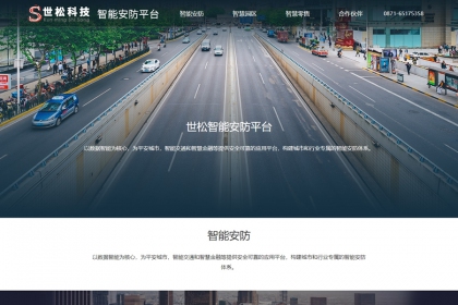 世松智能安防平台
